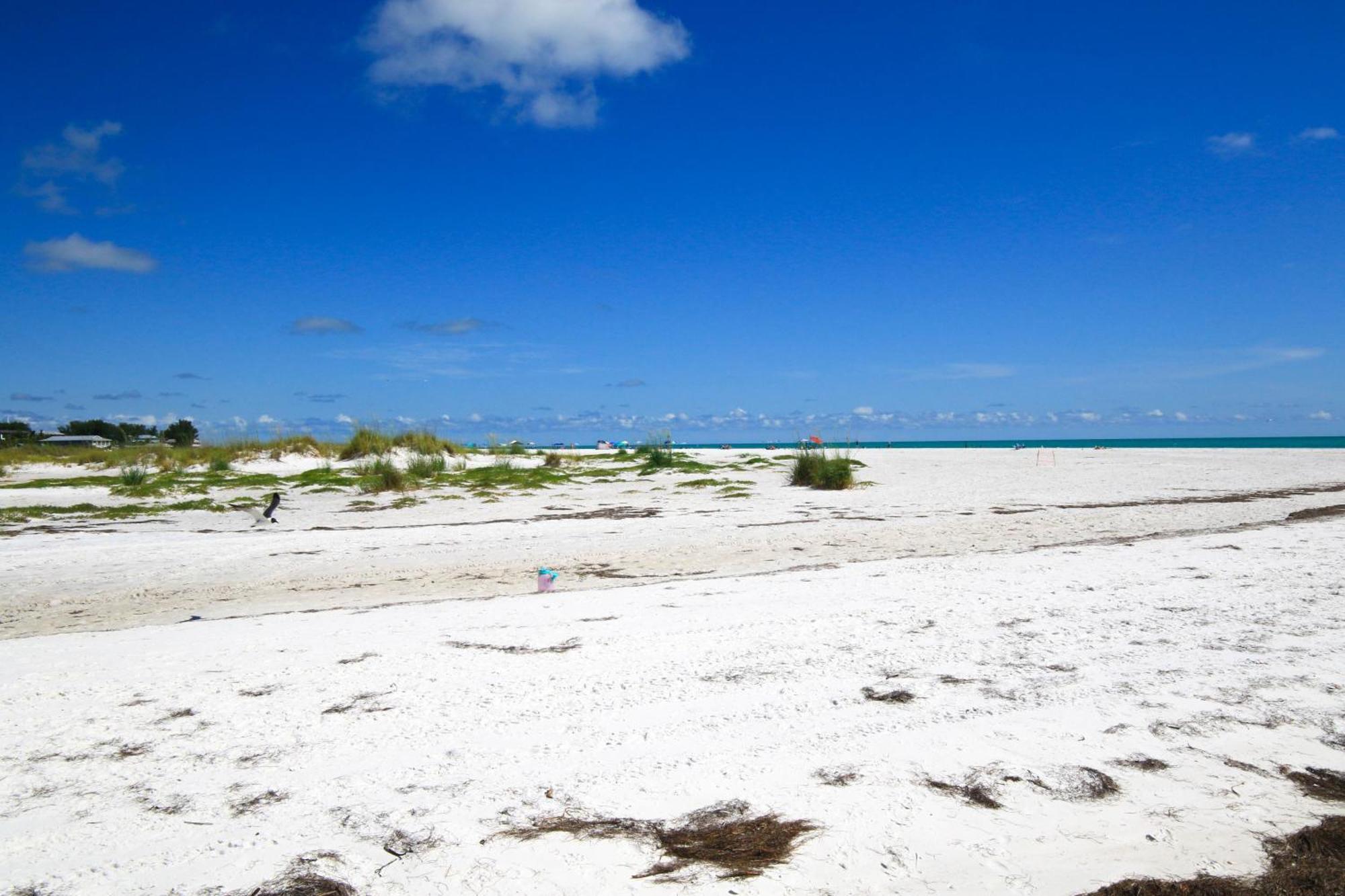 Anna Maria Island Runaway Tropical Dream-One Minute Walk To The Beach-Heated Pool Bradenton Beach Exterior foto